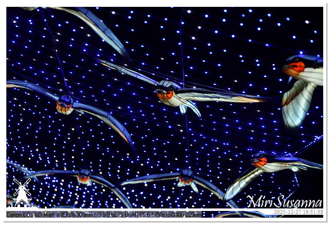 Ouwehand Light Night 2025 IMG_4384