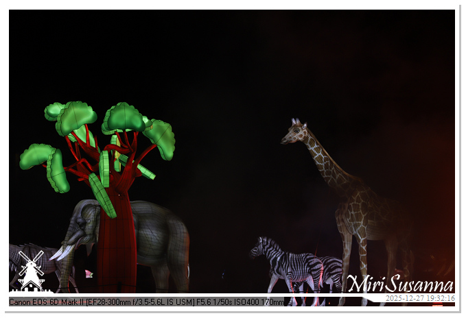 Ouwehand Light Night 2025 IMG_4385