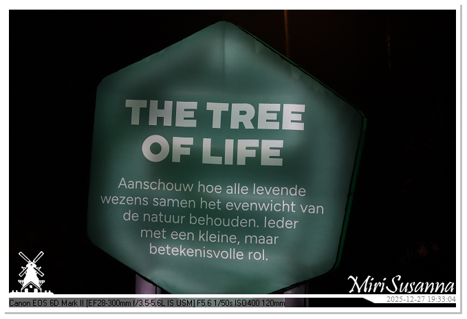 Ouwehand Light Night 2025 IMG_4386