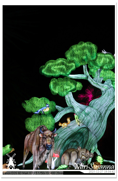 Ouwehand Light Night 2025 IMG_4391