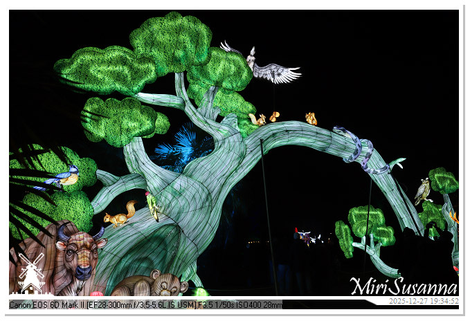 Ouwehand Light Night 2025 IMG_4392