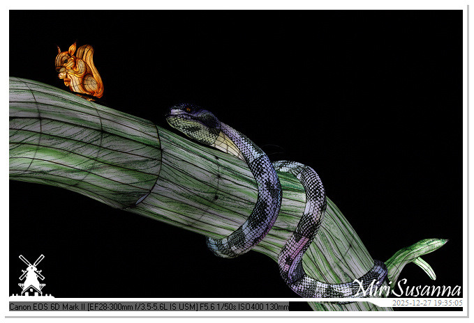 Ouwehand Light Night 2025 IMG_4393