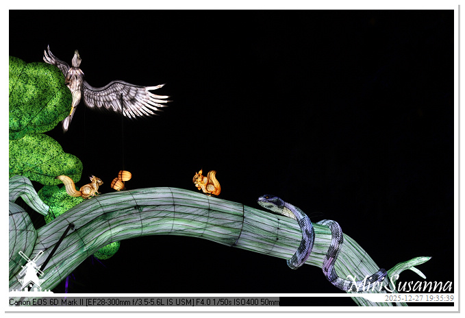 Ouwehand Light Night 2025 IMG_4397