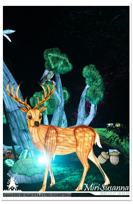 Ouwehand Light Night 2025 IMG_4398