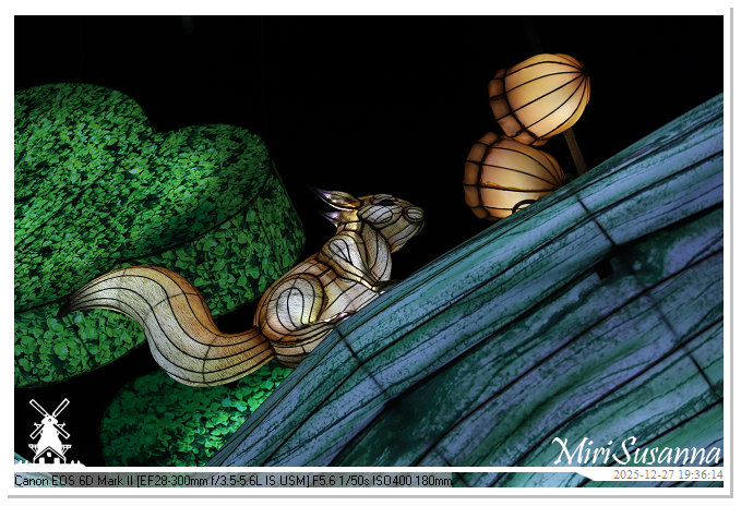 Ouwehand Light Night 2025 IMG_4400