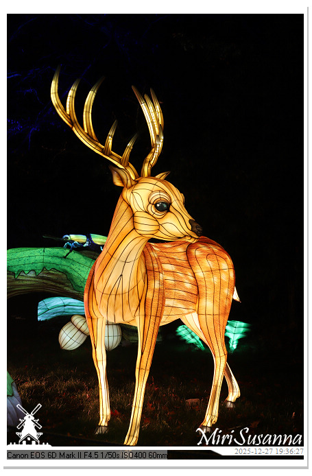 Ouwehand Light Night 2025 IMG_4401