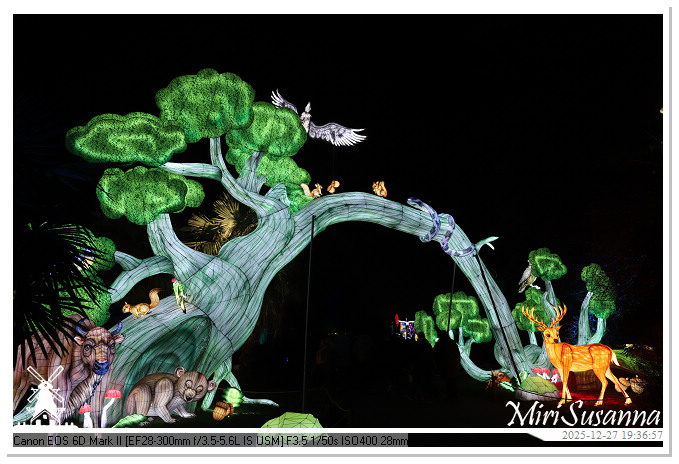 Ouwehand Light Night 2025 IMG_4403