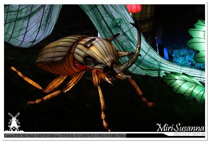 Ouwehand Light Night 2025 IMG_4407