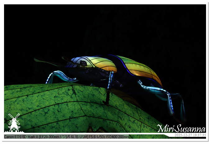 Ouwehand Light Night 2025 IMG_4408