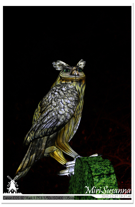 Ouwehand Light Night 2025 IMG_4409