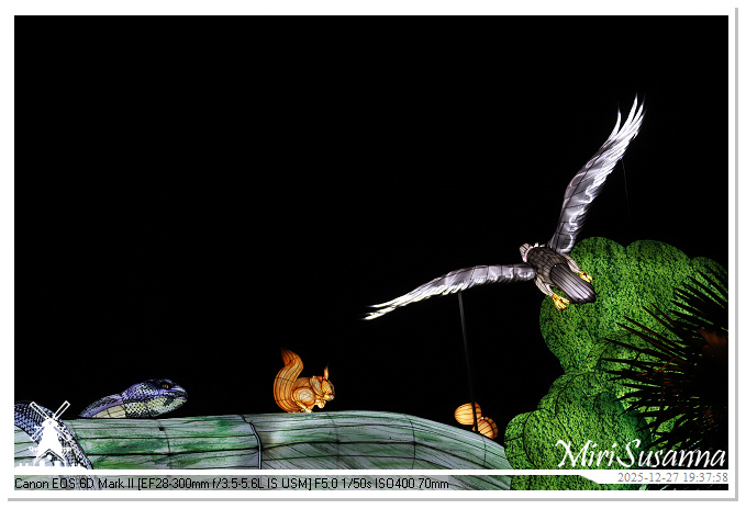 Ouwehand Light Night 2025 IMG_4410