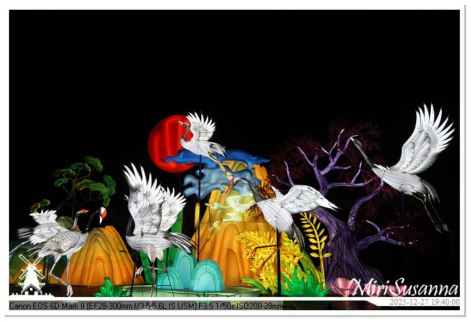 Ouwehand Light Night 2025 IMG_4414