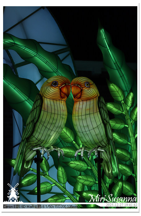 Ouwehand Light Night 2025 IMG_4419