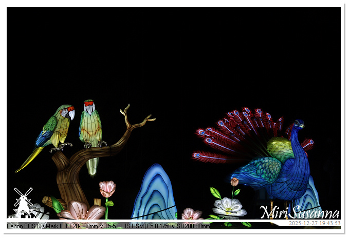 Ouwehand Light Night 2025 IMG_4424