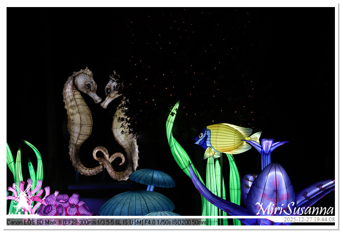 Ouwehand Light Night 2025 IMG_4425