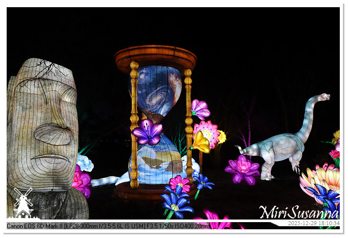 Beekse Bergen Light Safari 2025 IMG_4562@MiriSusanna CC-BY-NC-ND Beekse Bergen Light Safari 2025 IMG_4562