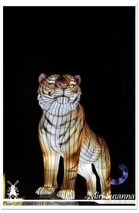 Beekse Bergen Light Safari 2025 IMG_4569@MiriSusanna CC-BY-NC-ND Beekse Bergen Light Safari 2025 IMG_4569