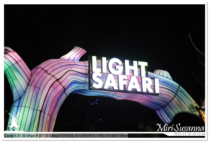 Beekse Bergen Light Safari 2025 IMG_4571@MiriSusanna CC-BY-NC-ND Beekse Bergen Light Safari 2025 IMG_4571