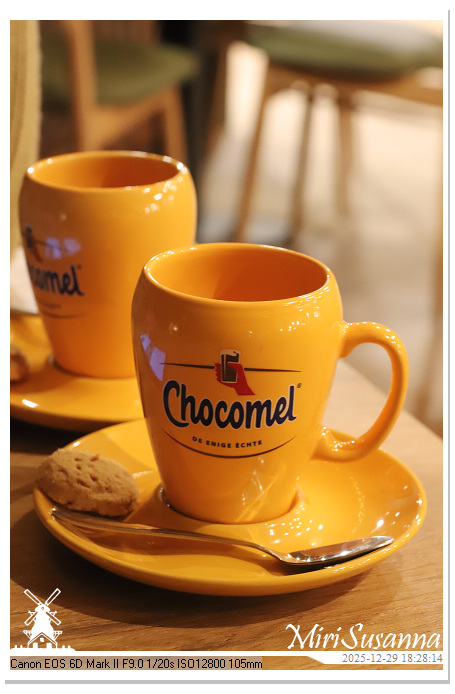 Beekse Bergen Light Safari 2025 IMG_4576@MiriSusanna CC-BY-NC-ND Beekse Bergen Light Safari 2025 IMG_4576