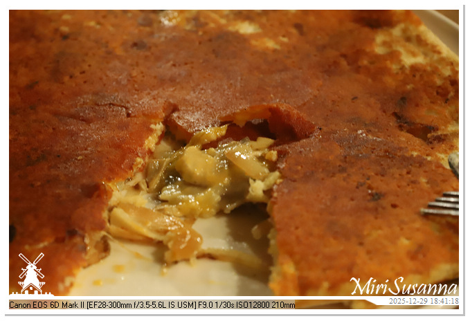 Beekse Bergen Light Safari 2025 IMG_4578@MiriSusanna CC-BY-NC-ND Beekse Bergen Light Safari 2025 IMG_4578