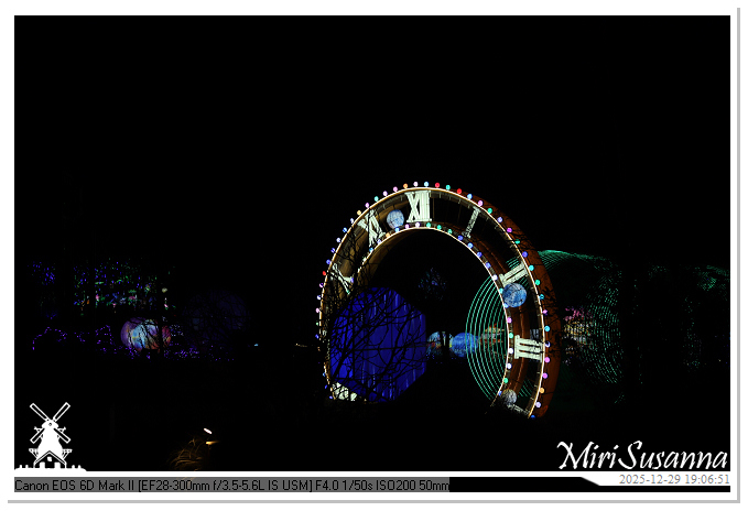 Beekse Bergen Light Safari 2025 IMG_4579@MiriSusanna CC-BY-NC-ND Beekse Bergen Light Safari 2025 IMG_4579