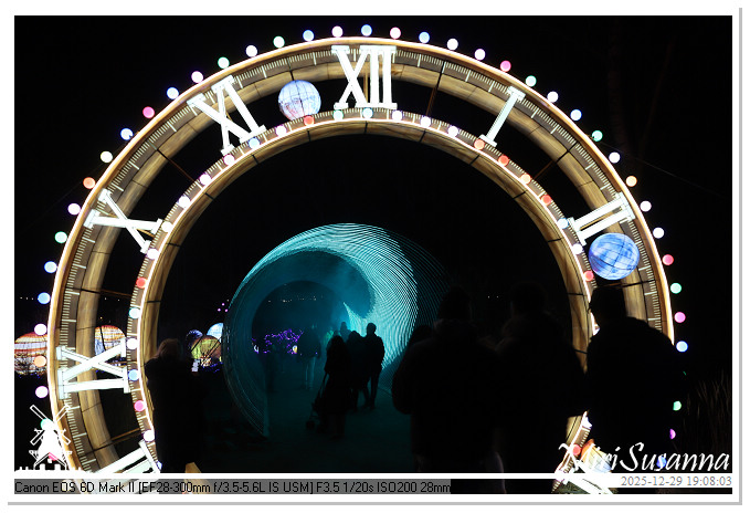 Beekse Bergen Light Safari 2025 IMG_4584@MiriSusanna CC-BY-NC-ND Beekse Bergen Light Safari 2025 IMG_4584