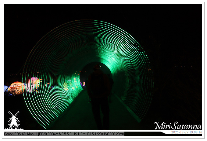 Beekse Bergen Light Safari 2025 IMG_4586@MiriSusanna CC-BY-NC-ND Beekse Bergen Light Safari 2025 IMG_4586