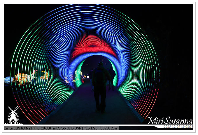 Beekse Bergen Light Safari 2025 IMG_4587@MiriSusanna CC-BY-NC-ND Beekse Bergen Light Safari 2025 IMG_4587