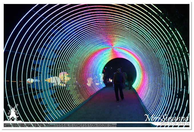 Beekse Bergen Light Safari 2025 IMG_4588@MiriSusanna CC-BY-NC-ND Beekse Bergen Light Safari 2025 IMG_4588