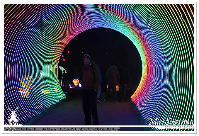 Beekse Bergen Light Safari 2025 IMG_4589@MiriSusanna CC-BY-NC-ND Beekse Bergen Light Safari 2025 IMG_4589