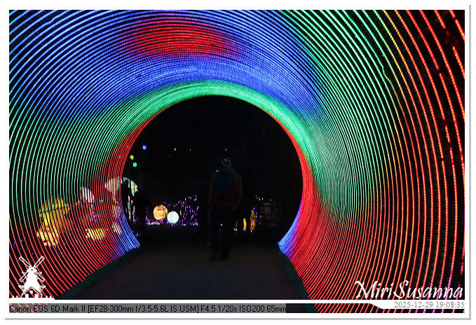 Beekse Bergen Light Safari 2025 IMG_4592@MiriSusanna CC-BY-NC-ND Beekse Bergen Light Safari 2025 IMG_4592