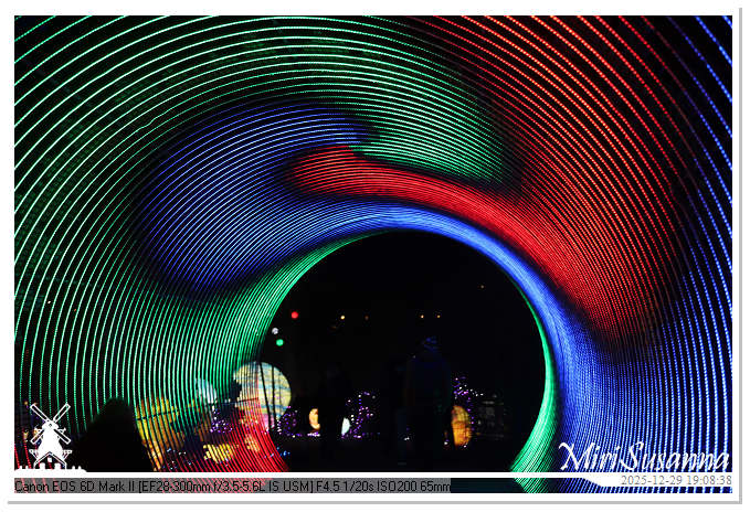 Beekse Bergen Light Safari 2025 IMG_4593@MiriSusanna CC-BY-NC-ND Beekse Bergen Light Safari 2025 IMG_4593