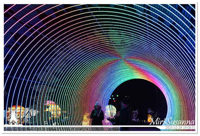 Beekse Bergen Light Safari 2025 IMG_4594@MiriSusanna CC-BY-NC-ND Beekse Bergen Light Safari 2025 IMG_4594