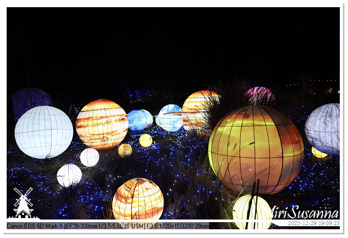 Beekse Bergen Light Safari 2025 IMG_4595@MiriSusanna CC-BY-NC-ND Beekse Bergen Light Safari 2025 IMG_4595