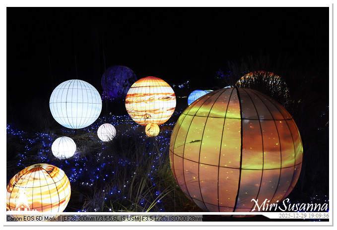 Beekse Bergen Light Safari 2025 IMG_4596@MiriSusanna CC-BY-NC-ND Beekse Bergen Light Safari 2025 IMG_4596