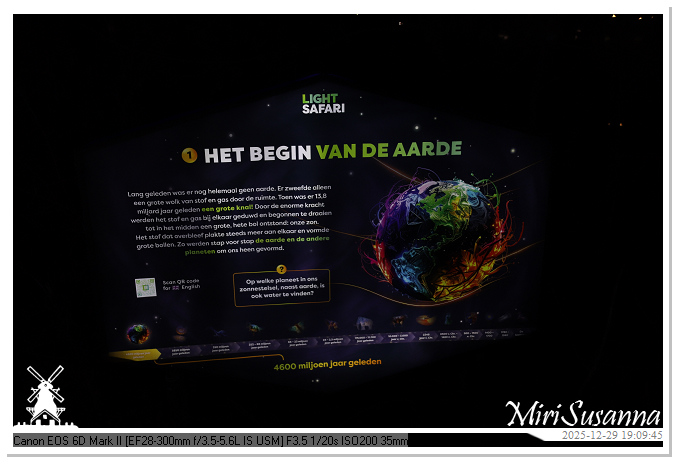 Beekse Bergen Light Safari 2025 IMG_4597@MiriSusanna CC-BY-NC-ND Beekse Bergen Light Safari 2025 IMG_4597