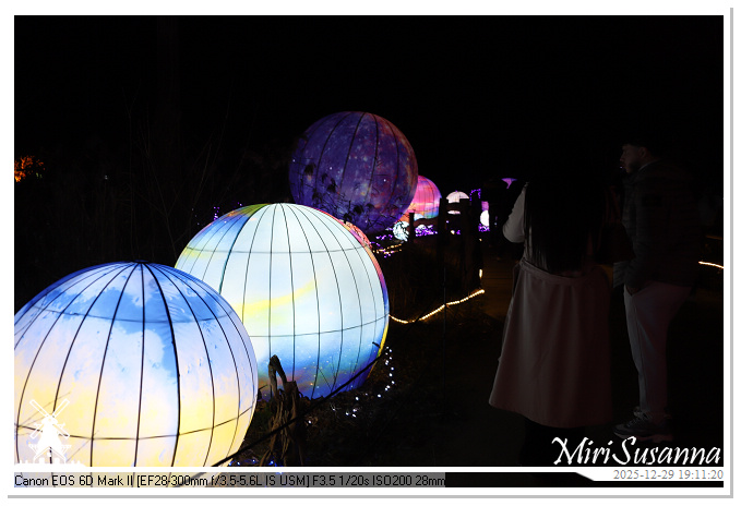 Beekse Bergen Light Safari 2025 IMG_4602@MiriSusanna CC-BY-NC-ND Beekse Bergen Light Safari 2025 IMG_4602