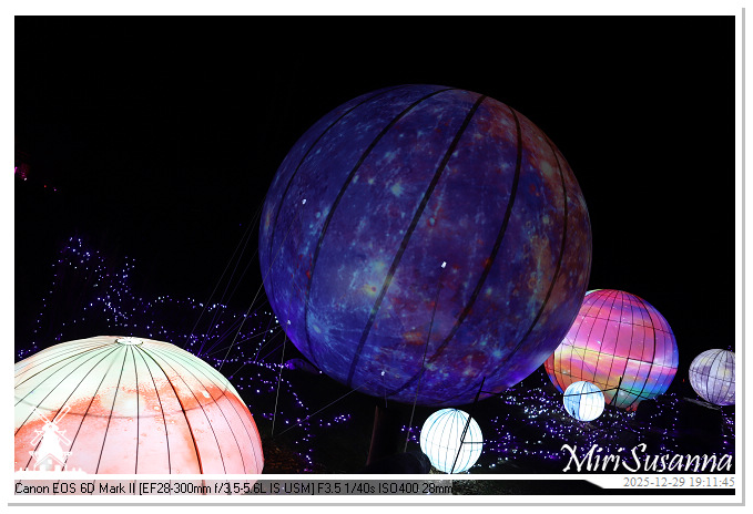 Beekse Bergen Light Safari 2025 IMG_4603@MiriSusanna CC-BY-NC-ND Beekse Bergen Light Safari 2025 IMG_4603