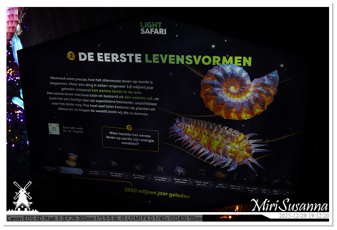 Beekse Bergen Light Safari 2025 IMG_4604@MiriSusanna CC-BY-NC-ND Beekse Bergen Light Safari 2025 IMG_4604