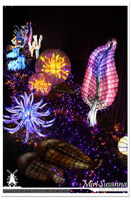 Beekse Bergen Light Safari 2025 IMG_4607@MiriSusanna CC-BY-NC-ND Beekse Bergen Light Safari 2025 IMG_4607