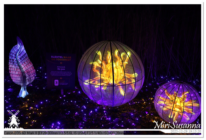 Beekse Bergen Light Safari 2025 IMG_4608@MiriSusanna CC-BY-NC-ND Beekse Bergen Light Safari 2025 IMG_4608