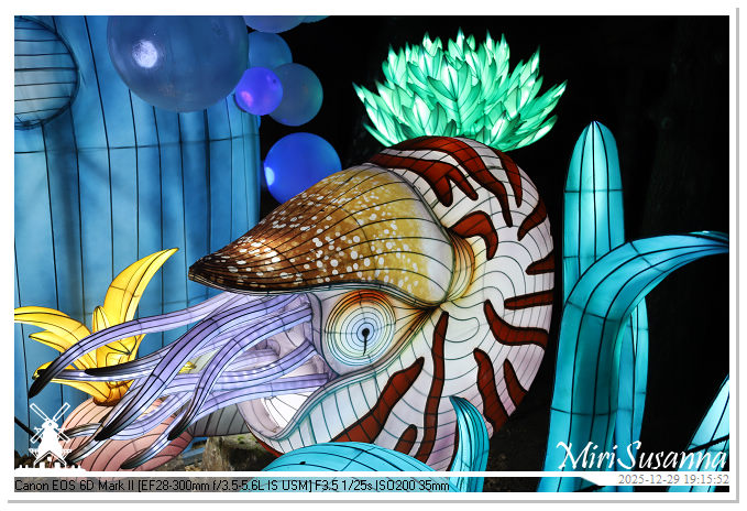 Beekse Bergen Light Safari 2025 IMG_4619@MiriSusanna CC-BY-NC-ND Beekse Bergen Light Safari 2025 IMG_4619