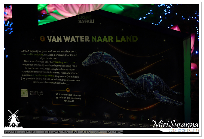 Beekse Bergen Light Safari 2025 IMG_4627@MiriSusanna CC-BY-NC-ND Beekse Bergen Light Safari 2025 IMG_4627