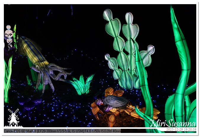 Beekse Bergen Light Safari 2025 IMG_4634@MiriSusanna CC-BY-NC-ND Beekse Bergen Light Safari 2025 IMG_4634