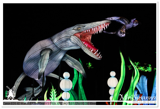 Beekse Bergen Light Safari 2025 IMG_4639@MiriSusanna CC-BY-NC-ND Beekse Bergen Light Safari 2025 IMG_4639