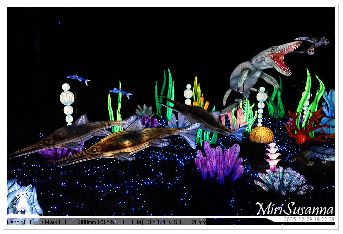 Beekse Bergen Light Safari 2025 IMG_4640@MiriSusanna CC-BY-NC-ND Beekse Bergen Light Safari 2025 IMG_4640