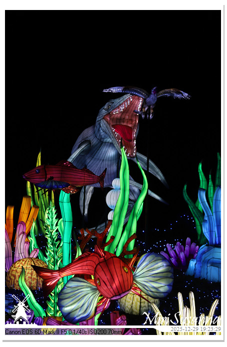 Beekse Bergen Light Safari 2025 IMG_4644@MiriSusanna CC-BY-NC-ND Beekse Bergen Light Safari 2025 IMG_4644