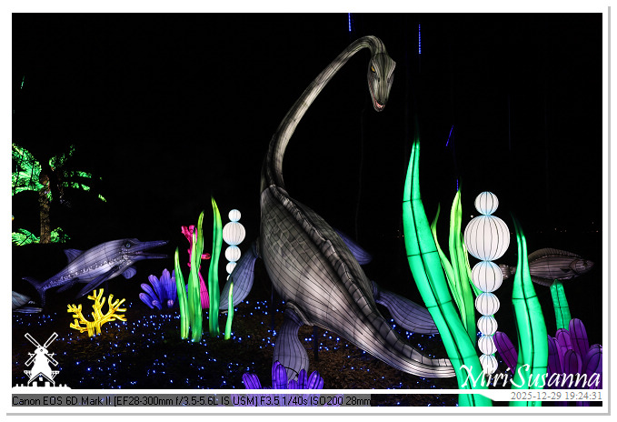 Beekse Bergen Light Safari 2025 IMG_4647@MiriSusanna CC-BY-NC-ND Beekse Bergen Light Safari 2025 IMG_4647