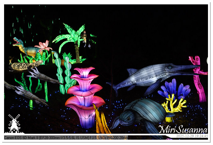 Beekse Bergen Light Safari 2025 IMG_4648@MiriSusanna CC-BY-NC-ND Beekse Bergen Light Safari 2025 IMG_4648