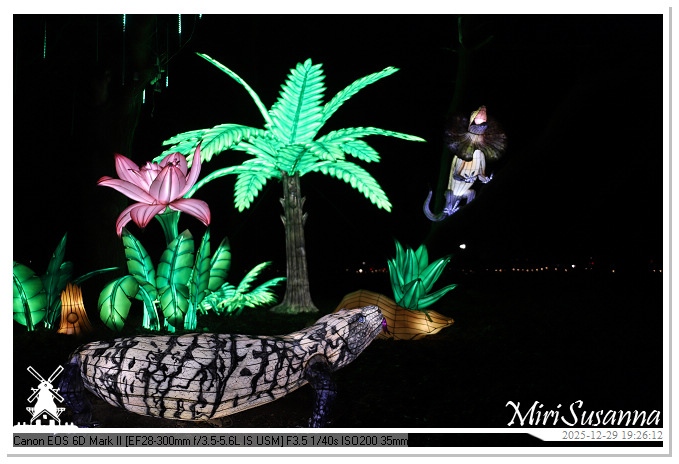 Beekse Bergen Light Safari 2025 IMG_4653@MiriSusanna CC-BY-NC-ND Beekse Bergen Light Safari 2025 IMG_4653